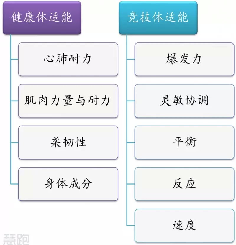 儿童篮球启蒙阶段需要哪些辅导?_2